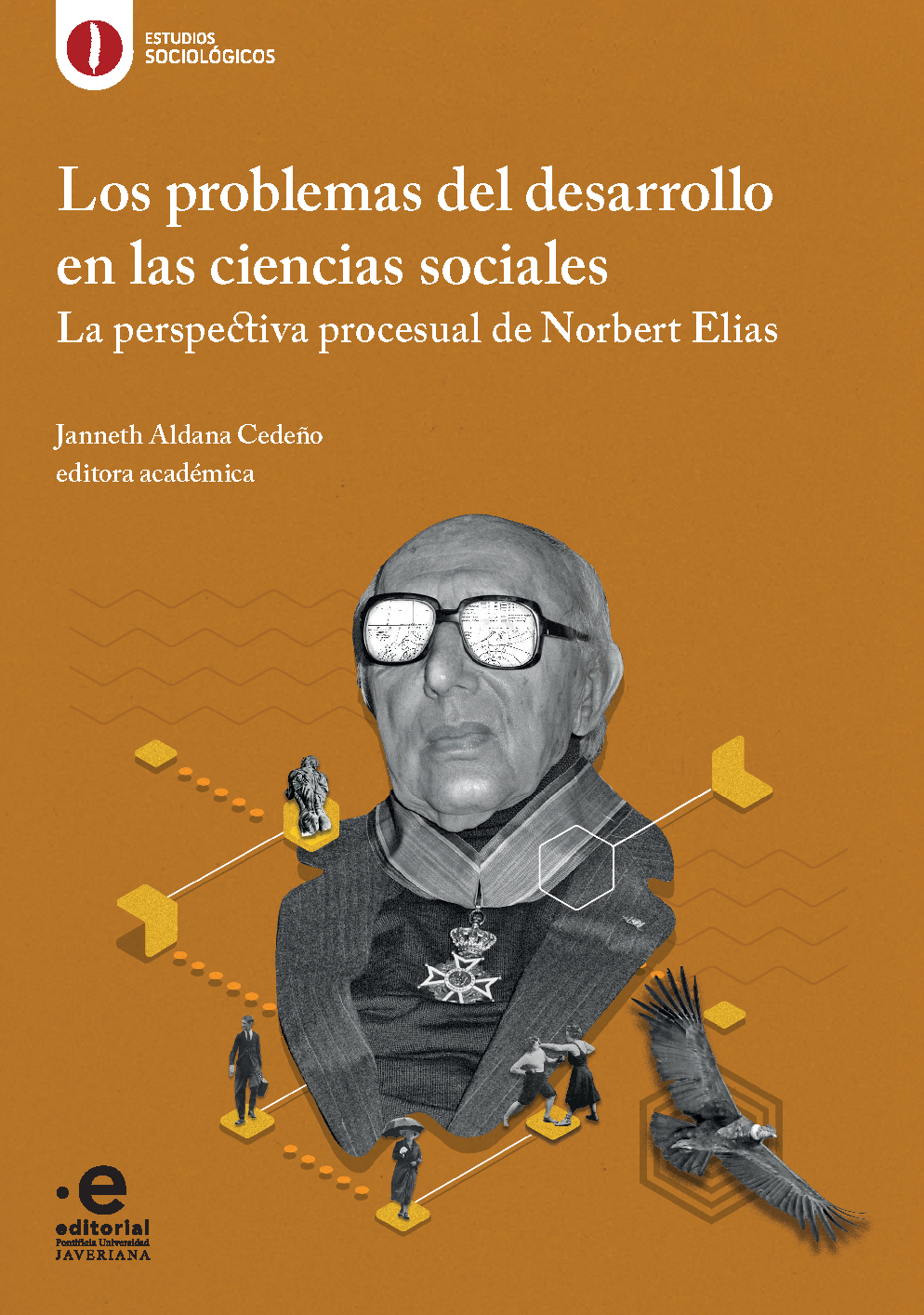 Los problemas del desarrollo en las ciencias sociales Portada